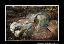 Un cimetière automobile