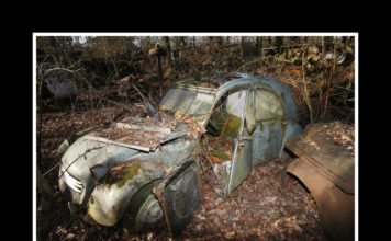 Un cimetière automobile