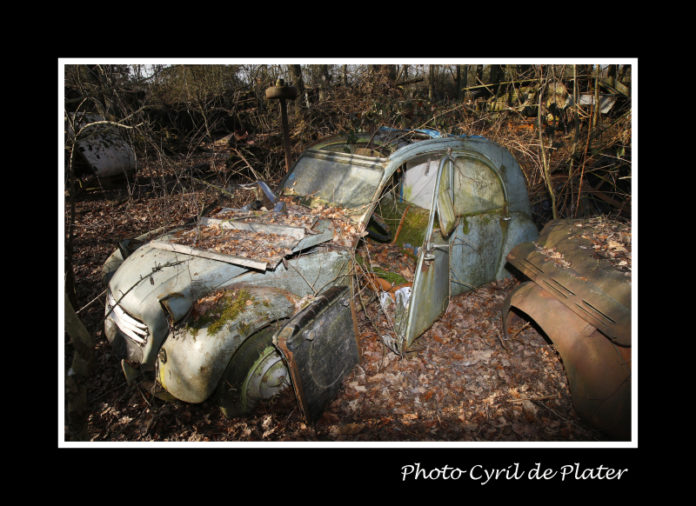 Un cimetière automobile