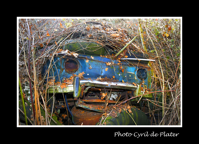 Un cimetière automobile