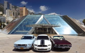 Mustang : Au pas, au trot, au galop !