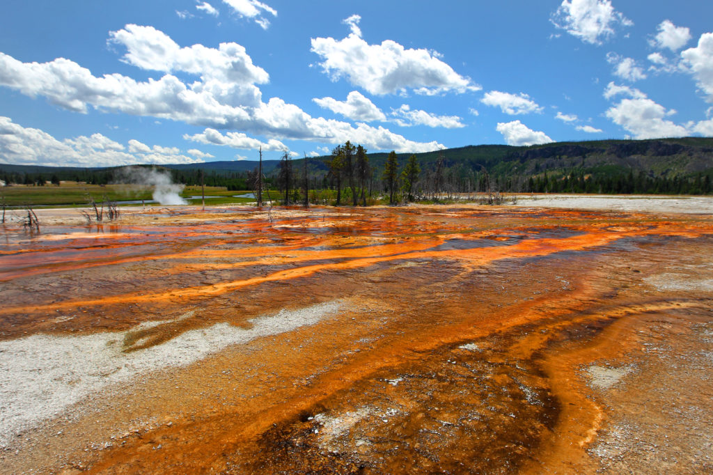 Yellowstone Rod Run / Août / USA Montana