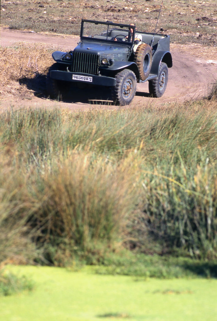 Insolite : Un Dodge à Casablanca