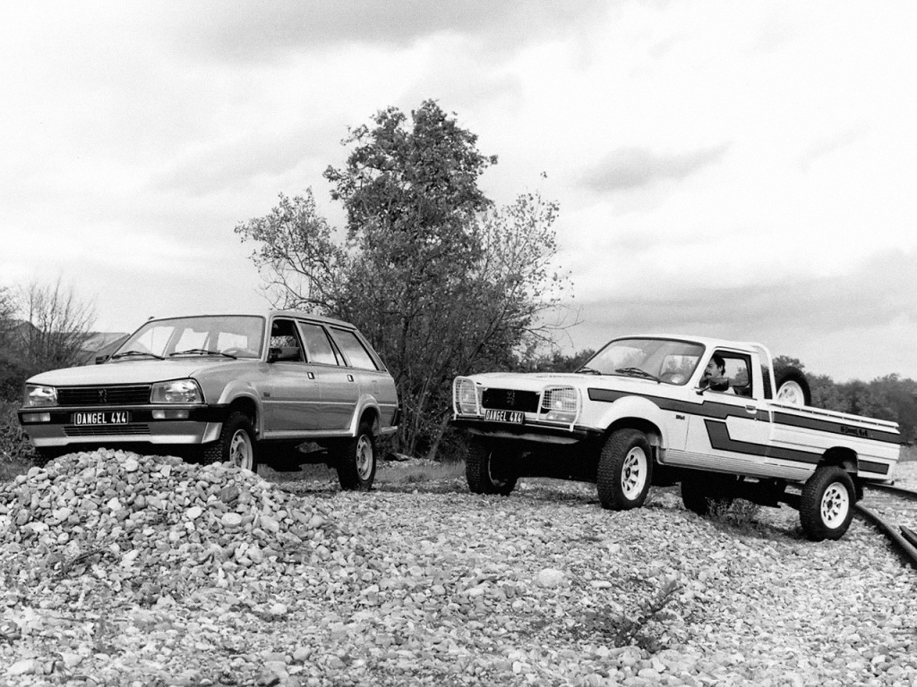 PEUGEOT 504 et 505 DANGEL - Les lionnes se mettent au vert.