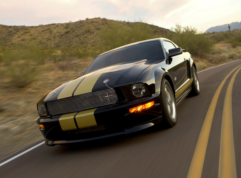 MUSTANG SHELBY 1969 & 70 -La dernière morsure du Cobra.