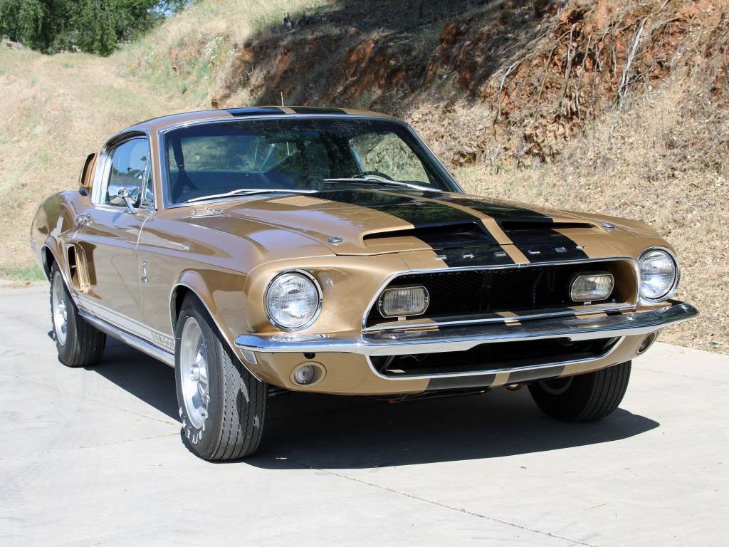 MUSTANG SHELBY 1969 & 70 -La dernière morsure du Cobra.