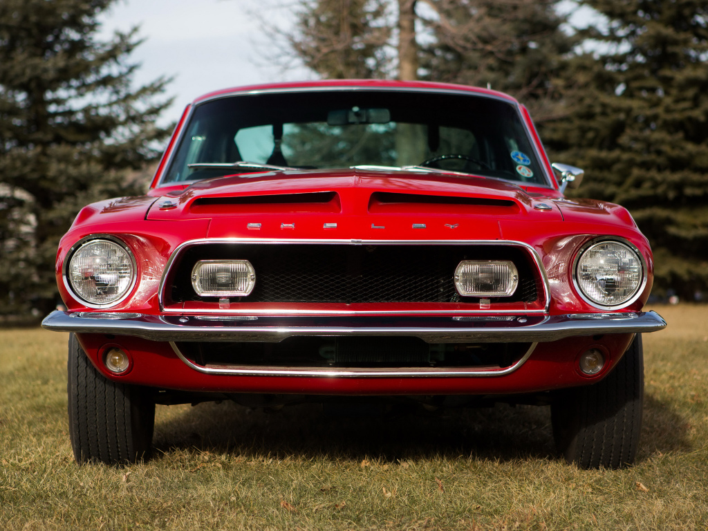 MUSTANG SHELBY 1969 & 70 -La dernière morsure du Cobra.