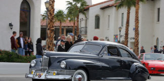 PACKARD - L'ascension et la chute du cormoran (partie II).