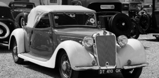 DELAGE DI 12 et D6-60 - L'alliance de la carpe et du lapin.